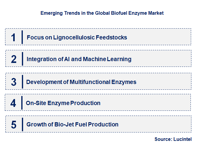 Emerging Trends in the Biofuel Enzyme Market